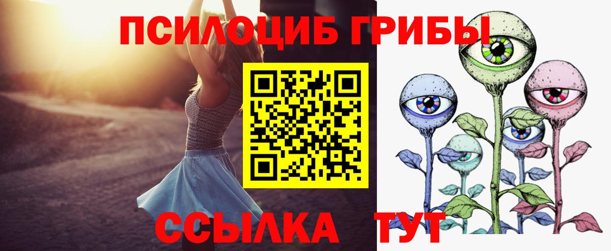 Галлюциногенные грибы Cubensis  Вход с VPN  Псилоцибиновые грибы Psilocybine cubensis  Новочебоксарск 