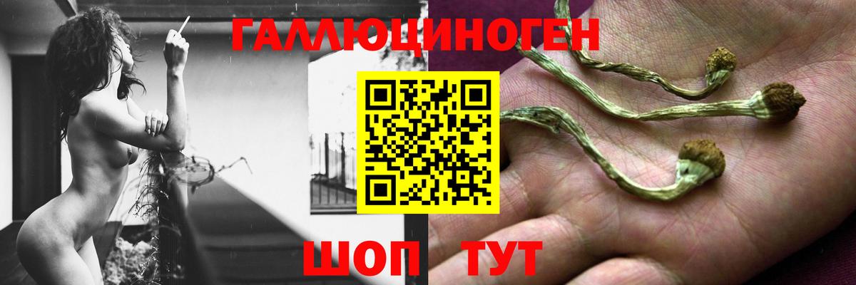 Псилоцибиновые грибы ЛСД Новочебоксарск